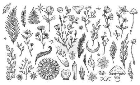 Set of decorative flower illustrations. Boho and vintage collection. Line-art. Hand-drawn plants. Isolated elements on white background. Goblincore