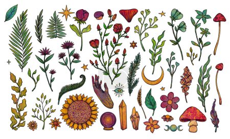 Set of decorative flower illustrations. Boho and vintage collection. Colorful set. Hand-drawn plants. Isolated elements on white background. Goblincore