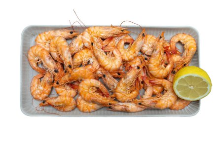 Seafood in close-up. The cooked shrimp is laid out on a plate on an isolated background. 