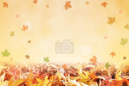 Falling Autumn Maple Leaves Natural Colorful Background