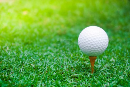 Photo for Green grass with golf ball close-up in soft focus at sunlight. Sport playground for golf club concept ,Golf ball on tee ready to be shot - Royalty Free Image