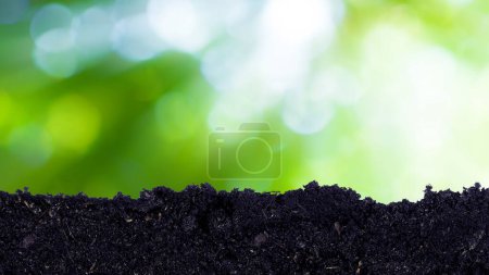 Photo for Heap of potting fertile black soil with green bokeh background, growing and organic plants ecology concept - Royalty Free Image