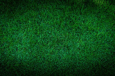 Téléchargez les photos : Terrain de football gazon vert motif texture fond, texture herbe pour fond - en image libre de droit