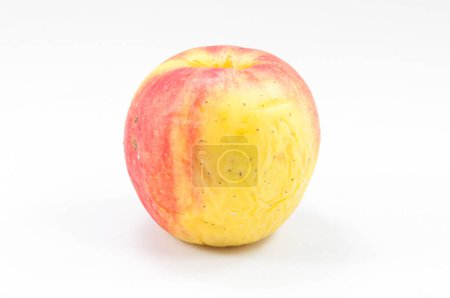 Photo for Wizened skin old apple white background - Royalty Free Image