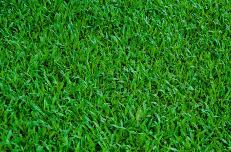 Téléchargez les photos : Terrain de football gazon vert motif texture fond, texture herbe pour fond - en image libre de droit
