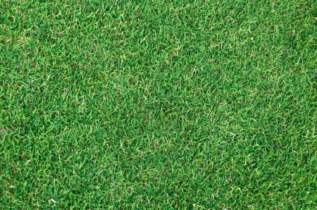 Téléchargez les photos : Terrain de football gazon vert motif fond texturé, herbe texturée pour fond - en image libre de droit