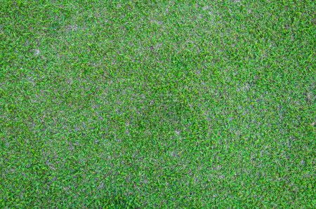 Téléchargez les photos : Terrain de football gazon vert motif fond texturé, herbe texturée pour fond - en image libre de droit