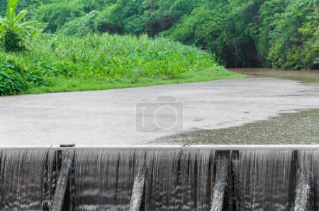 Téléchargez les photos : Cascade de cascades coulant dans la forêt verte, Eau mousseuse venant sur une petite cascade d'un barrage Par un jour de pluie - en image libre de droit