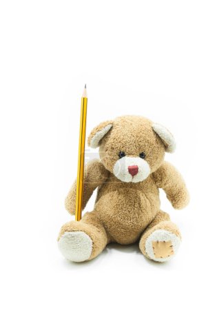 Photo for Brown teddy bear toy sitting holding yellow pencil on white background,for education background - Royalty Free Image