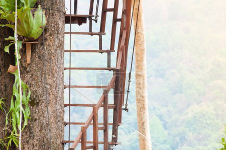 Foto de Escaleras de madera en el verde parque forestal para hasta Mirador - Imagen libre de derechos