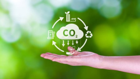 Hand holding CO2 reducing virtual icon for decrease carbon dioxide emission, carbon footprint and carbon credit to limit global warming from Bio climate change concept.