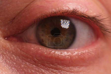 A close-up of a man's left eye in a relaxed state. Macro shot.