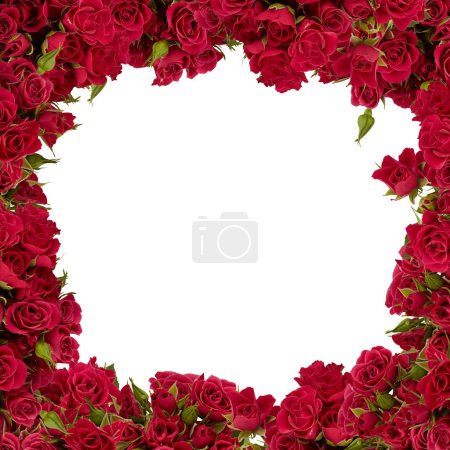 Foto de Hermoso marco de flores de color rosa con aspecto de un túnel de flores con corte aislado sobre fondo blanco tienen camino de recorte - Imagen libre de derechos