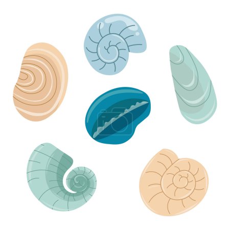 Photo for Vector flat illustration of sea shell. Underwater inhabitants of the seabed. - Royalty Free Image
