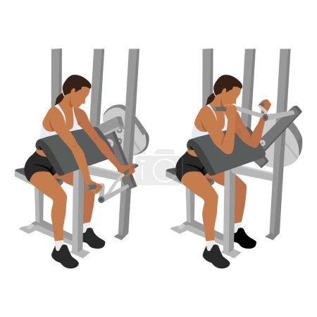 Illustration for Woman doing machine bicep preacher or concentration curls, arm biceps exercise. isolated on white background and layers. Workout character. Flat vector illustration isolated on white background - Royalty Free Image