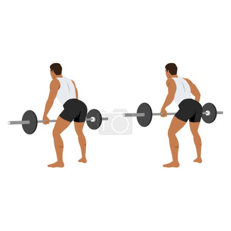 Illustration for Man doing bent over barbell rows exercise with barbell in a minimalistic style. Flat vector illustration isolated on white background - Royalty Free Image
