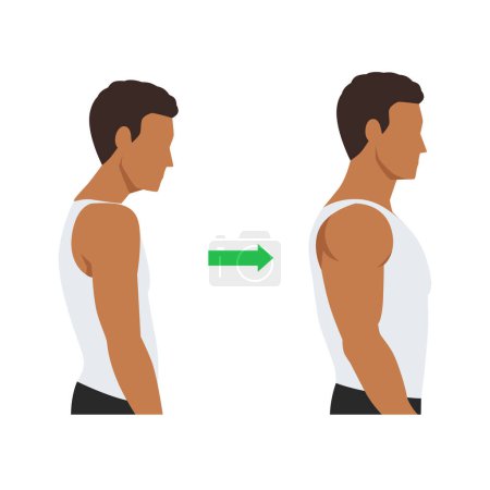 Ilustración de Hombre musculoso y flaco, concepto de pérdida de peso. Hombre antes y después del entrenamiento con mejor postura en la espalda. Ilustración vectorial plana aislada sobre fondo blanco - Imagen libre de derechos