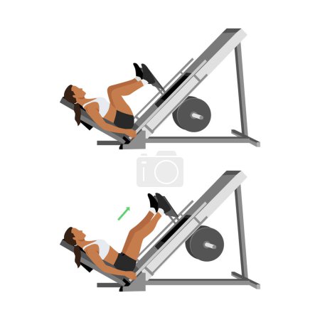 Woman doing leg press exercise on machine. Flat vector illustration isolated on white background