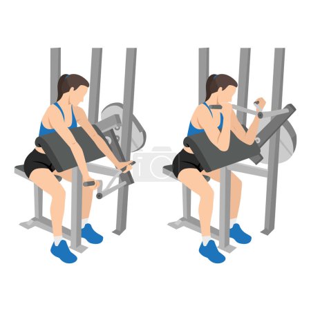 Illustration for Woman doing machine bicep preacher or concentration curls, arm biceps exercise. isolated on white background and layers. Workout character. Flat vector illustration isolated on white background - Royalty Free Image