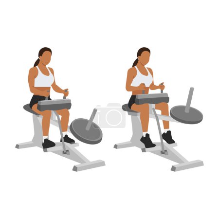 Illustration for Woman doing exercise using gym equipment. Seated calf machine raises. Flat vector illustration isolated on white background - Royalty Free Image