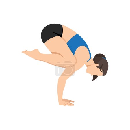 Illustration for Woman doing Crow pose bakasana exercise. Flat vector illustration isolated on white background - Royalty Free Image