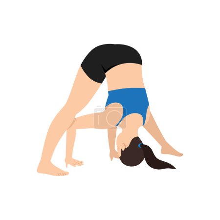 Illustration for Woman doing wide legged forward bend pose prasarita padottanasana exercise. Flat vector illustration isolated on white background - Royalty Free Image