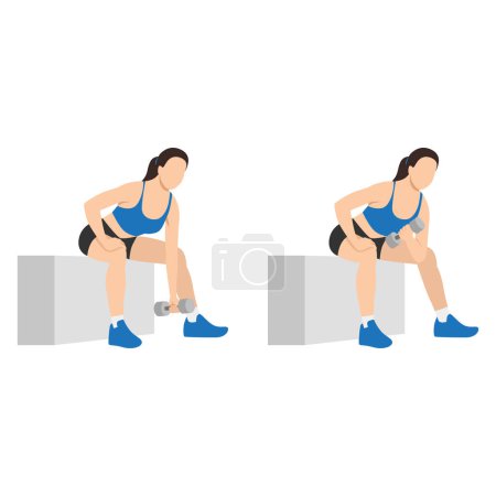 Illustration for Woman doing Concentration curl exercise. Flat vector illustration isolated on white background - Royalty Free Image