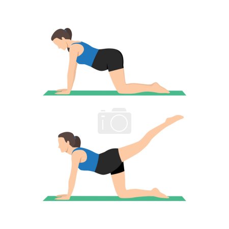 Young pregnant woman doing kick back exercise during pregnancy workout. Pilates of healthy happy mom with belly. Cat cow pose with one leg aerial. Flat vector illustration isolated on white background