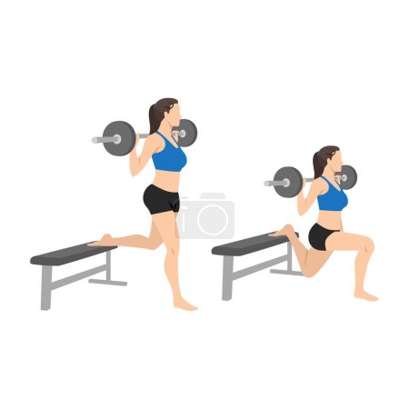 Woman doing Barbell bulgarian split squat exercise. Flat vector illustration isolated on white background