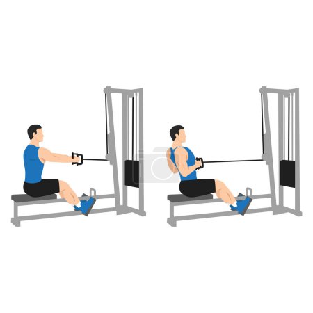 Man doing Seated Low cable back rows exercise. Flat vector illustration isolated on white background