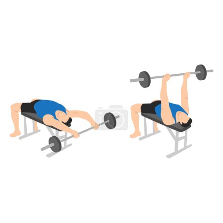 Man doing Barbell pullover exercise. Flat vector illustration isolated on white background