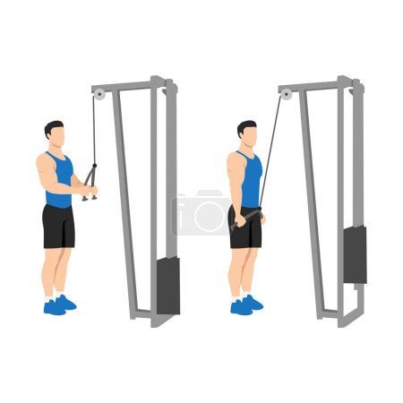 Man doing Cable rope pushdown exercise. Flat vector illustration isolated on white background