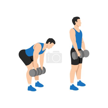 Illustration for Man doing Dumbbell stiff leg deadlift exercise. Flat vector illustration isolated on white background - Royalty Free Image