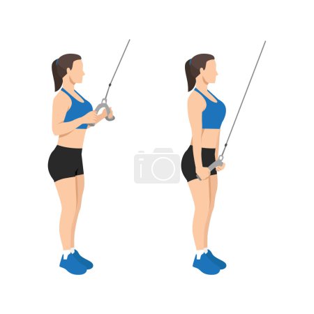 Mujer haciendo cable cuerda tríceps tire hacia abajo o empuje el ejercicio. Ilustración vectorial plana aislada sobre fondo blanco
