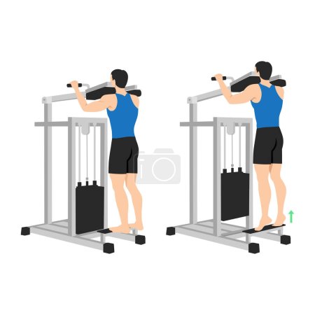 Man doing standing calf raise with assisted machine. Flat vector illustration isolated on white background