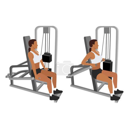 Illustration for Woman doing Assisted Machine seated tricep dips exercise. Flat vector illustration isolated on white background - Royalty Free Image