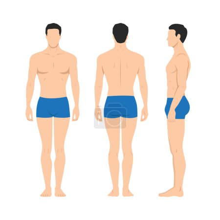 Vector illustration of three men in underwear on the white background. Vector cartoon realistic people illustartion. Flat young man. Front view man, Side view man, Back side view man