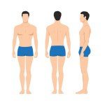 Vector illustration of three men in underwear on the white background. Vector cartoon realistic people illustartion. Flat young man. Front view man, Side view man, Back side view man