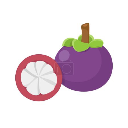 Illustration for Flat vector of Mangosteen isolated on white background. Flat illustration graphic icon - Royalty Free Image