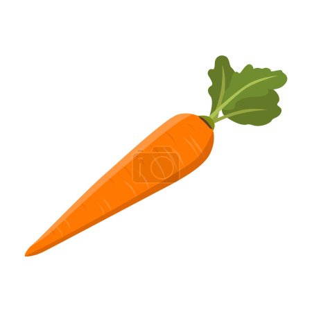 Illustration for Flat vector of Carrot isolated on white background. Flat illustration graphic icon - Royalty Free Image