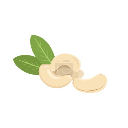 Illustration for Flat vector of cashew nuts isolated on white background. Flat illustration graphic icon - Royalty Free Image