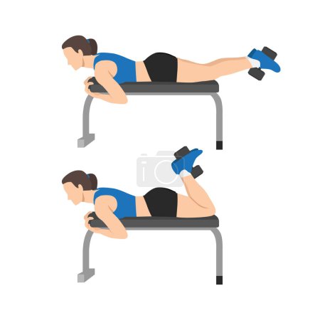 Illustration for Woman doing Dumbbell Hamstring Curl on Bench exercise. Flat vector illustration isolated on white background - Royalty Free Image