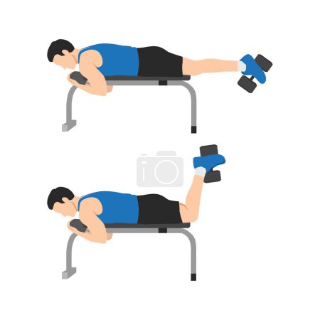 Illustration for Man doing Dumbbell Hamstring Curl on Bench exercise. Flat vector illustration isolated on white background - Royalty Free Image