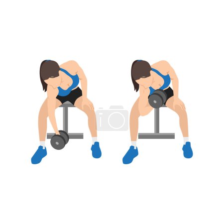 Illustration for Woman doing Seated Dumbbell concentration curls exercise. Flat vector illustration isolated on white background - Royalty Free Image