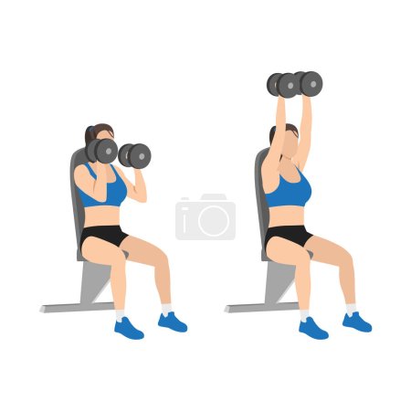 Illustration for Woman doing Seated Shoulder hammer. Overhead presses exercise. Flat vector illustration isolated on white background - Royalty Free Image