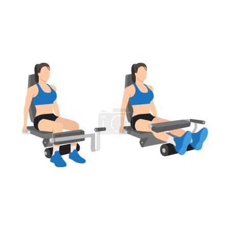 Illustration for Woman doing Seated leg curls exercise. Flat vector illustration isolated on white background - Royalty Free Image