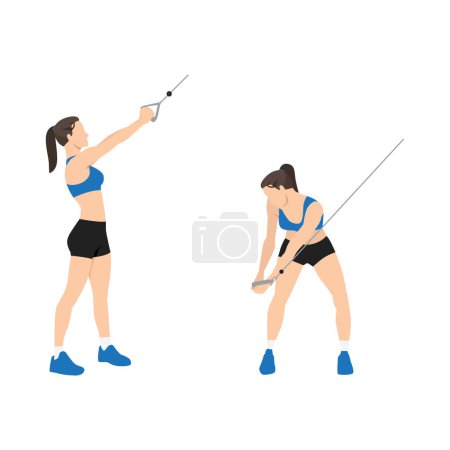 Téléchargez les illustrations : Femme faisant de l'exercice de côtelettes de bois de câble vers le bas. Illustration vectorielle plate isolée sur fond blanc - en licence libre de droit