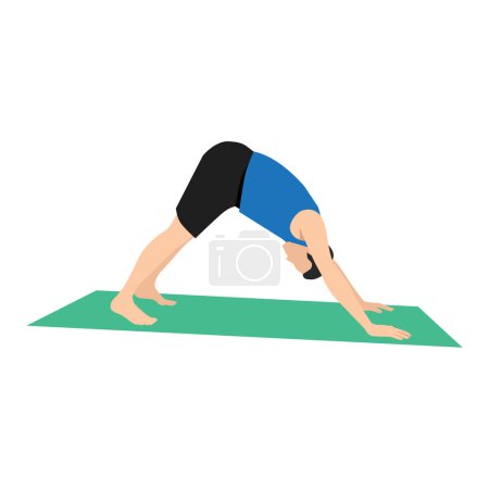 Man doing Adho mukha svanasana or downward facing dog yoga pose,vector illustration in trendy style