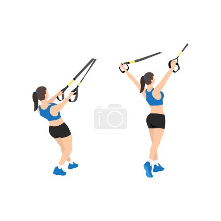 Téléchargez les illustrations : Femme faisant TRX Suspension bretelles deltoïde Flyes exercice. Illustration vectorielle plate isolée sur fond blanc - en licence libre de droit