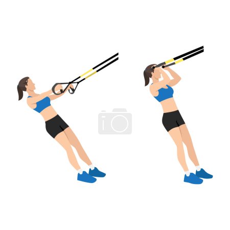 Illustration for Woman doing TRX Suspension strap bicep curls exercise. Flat vector illustration isolated on white background - Royalty Free Image